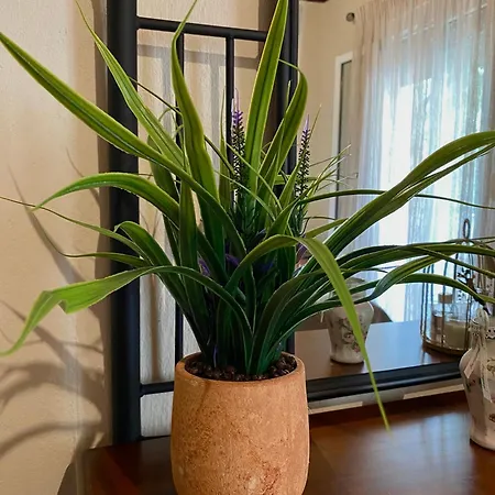 Casa de Férias Summer *